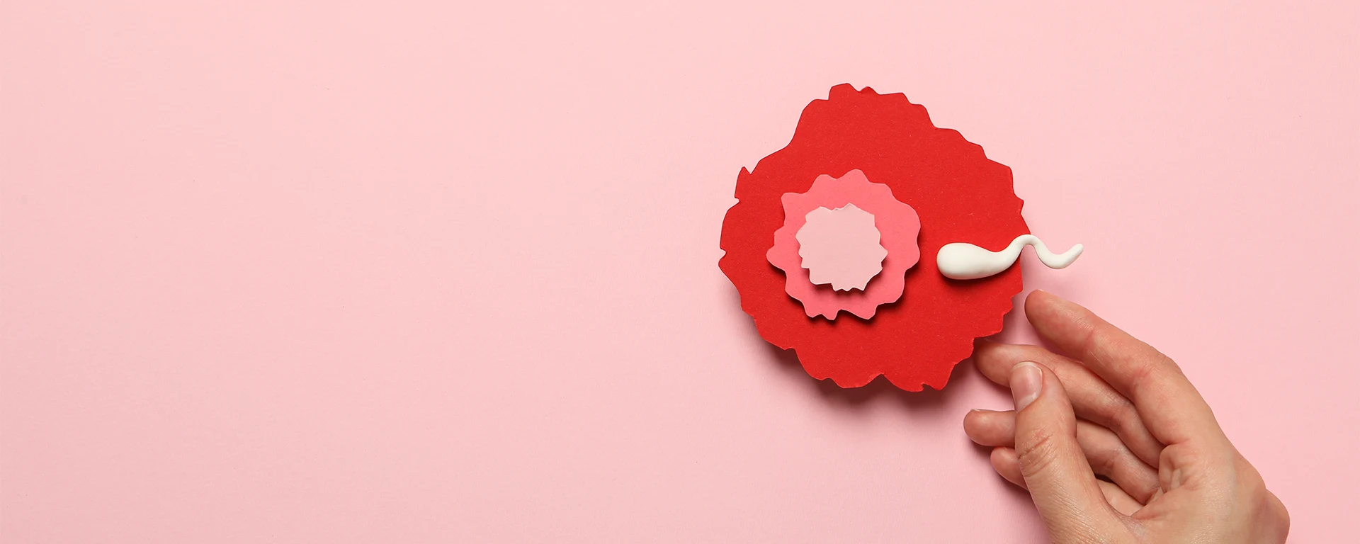 Best Recurrent Implantation Failure Management in Surat