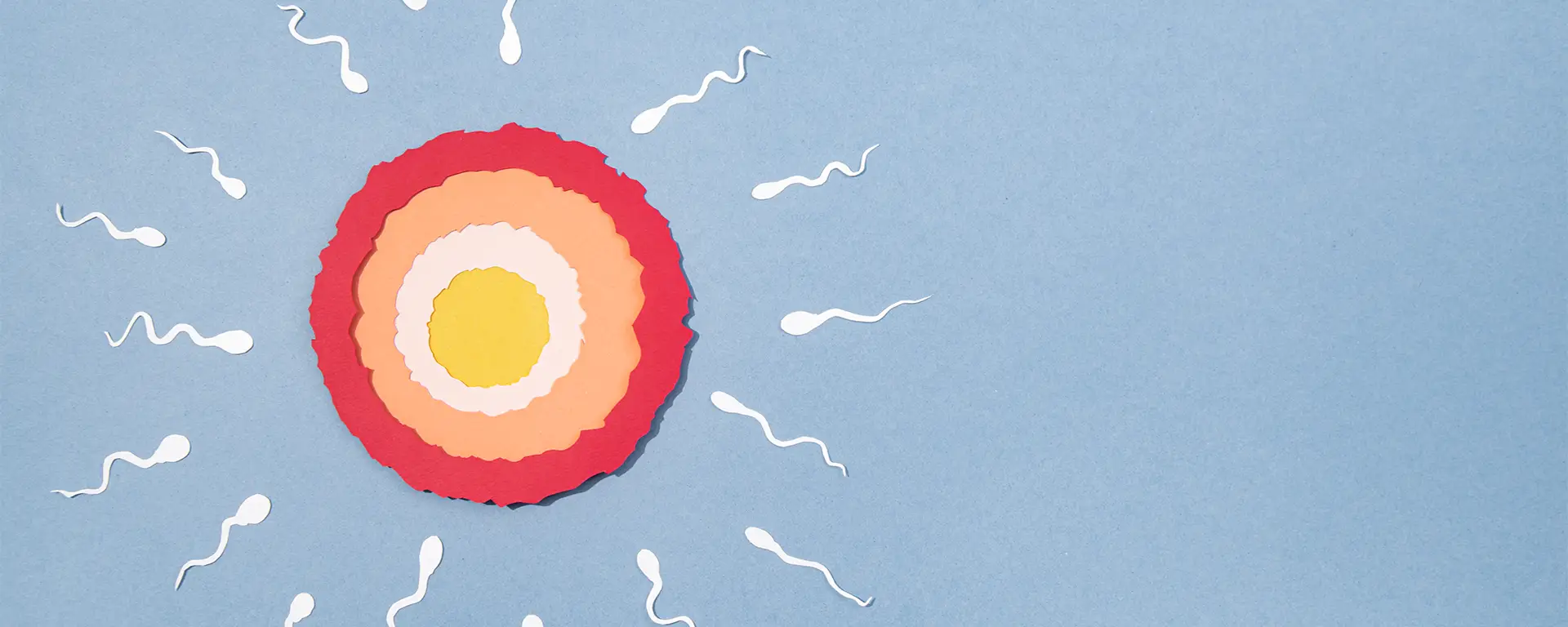 Best Egg Freezing in Surat