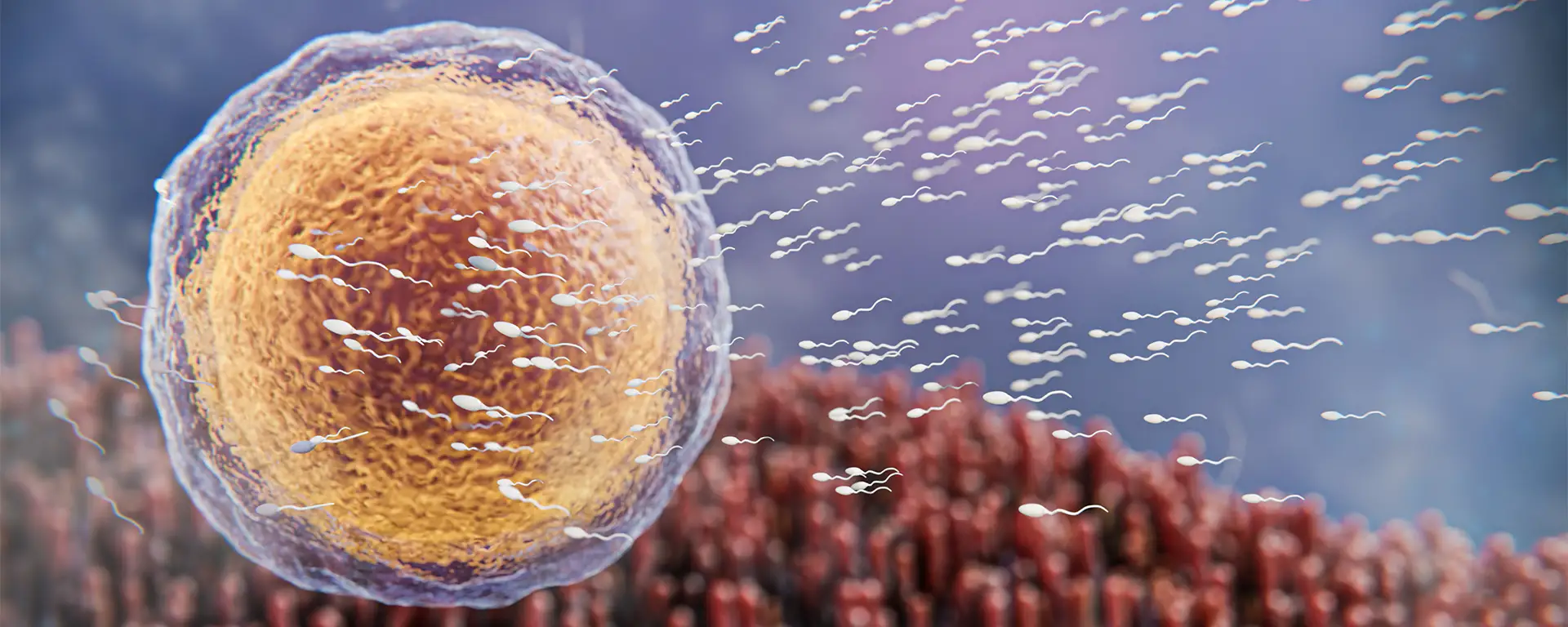 Best Embryo Freezing in Surat