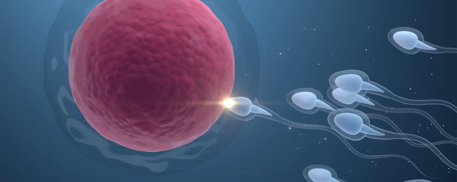 Best Percutaneous Epididymal Sperm Aspiration(PESA) in Surat