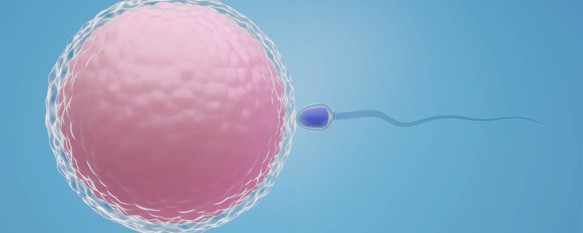 Best Sperm Freezing in Surat