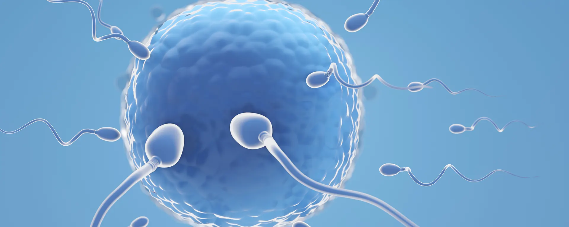 Best Testicular Sperm Aspiration (TESA)​ in surat