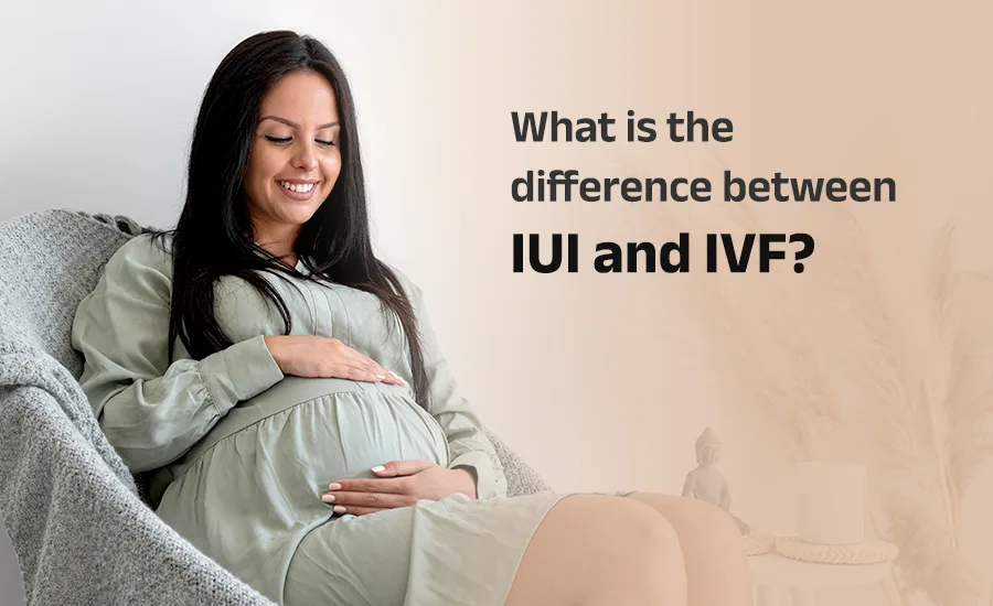 Home 29 What is the difference between IUI and IVF?
