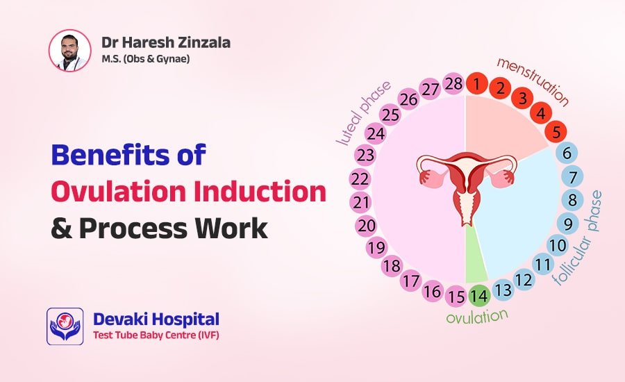 Ovulation Induction What It Is and How It Can Help You Conceive